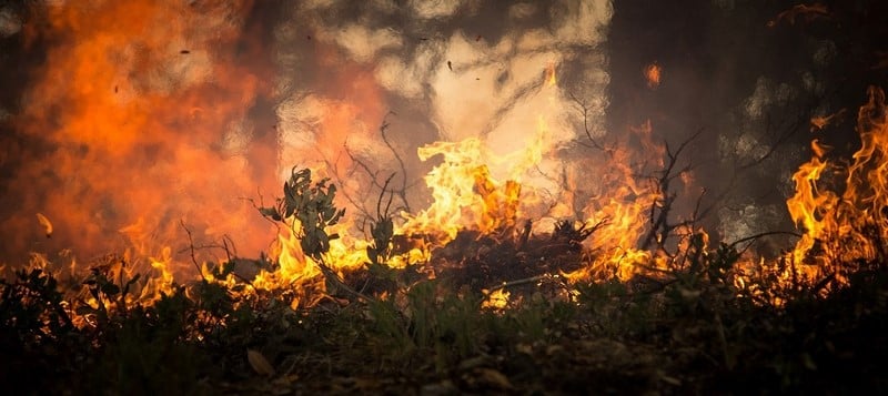 delitos por incendio forestal